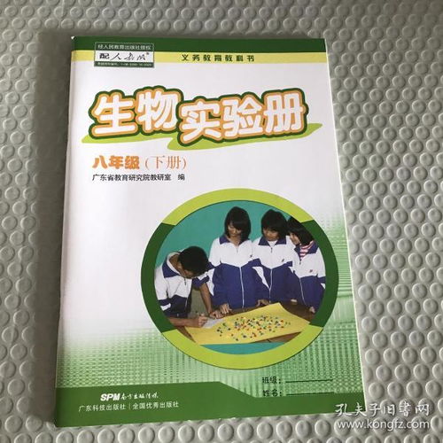 圖書購買與廣告設(shè)計 探索多多圖書旗艦店與孔夫子舊書網(wǎng)的魅力